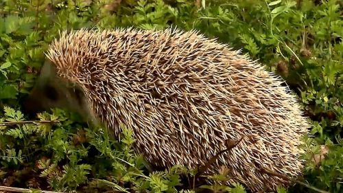 6205345905_d59a564256-160x160