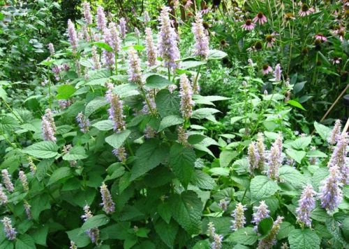 6205345905_d59a564256-160x160