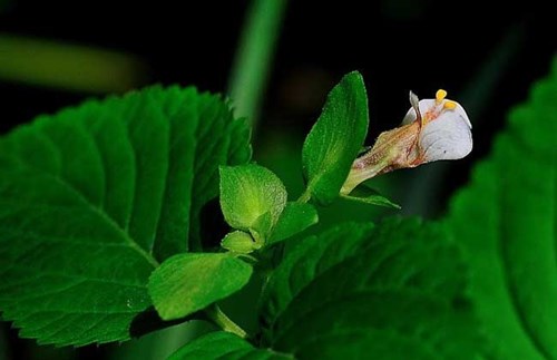 6205345905_d59a564256-160x160