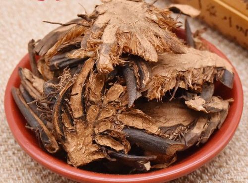 6205345905_d59a564256-160x160