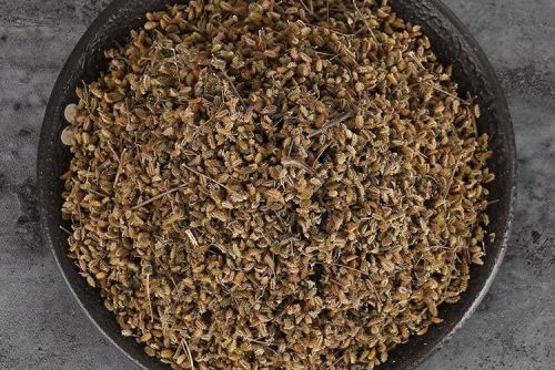 6205345905_d59a564256-160x160