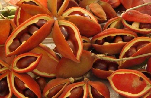 6205345905_d59a564256-160x160