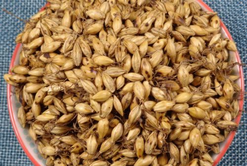 6205345905_d59a564256-160x160