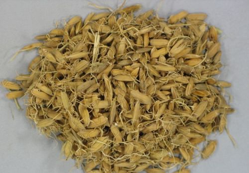 6205345905_d59a564256-160x160