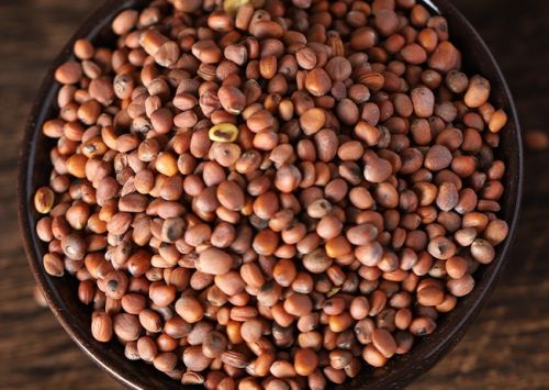 6205345905_d59a564256-160x160