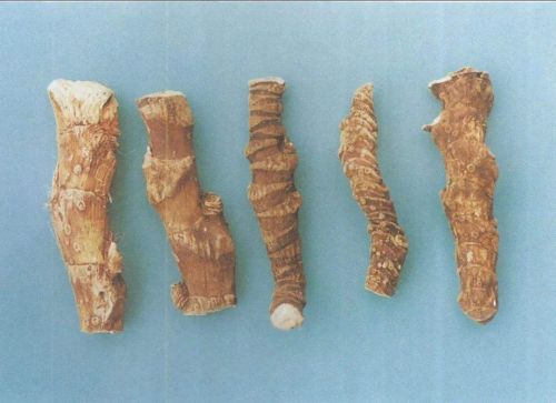 6205345905_d59a564256-160x160