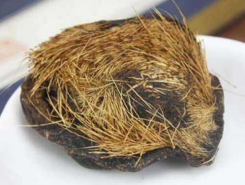 6205345905_d59a564256-160x160