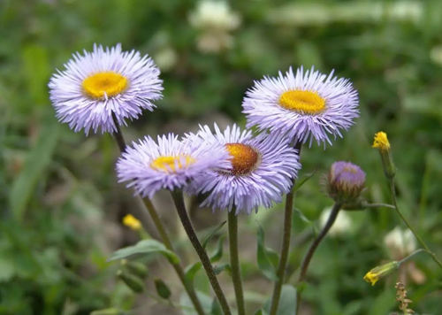 6205345905_d59a564256-160x160