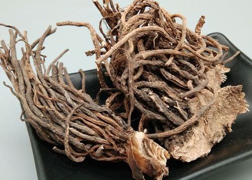 6205345905_d59a564256-160x160