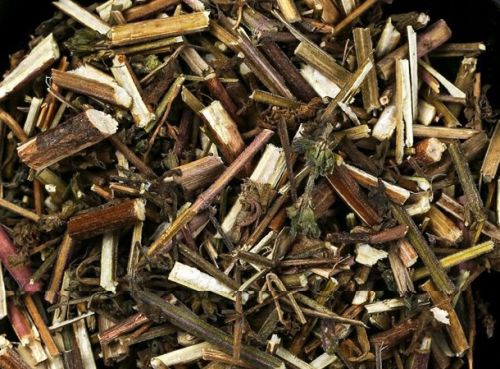 6205345905_d59a564256-160x160