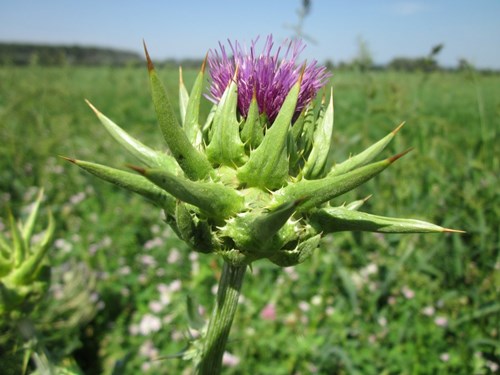 6205345905_d59a564256-160x160