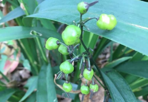 6205345905_d59a564256-160x160