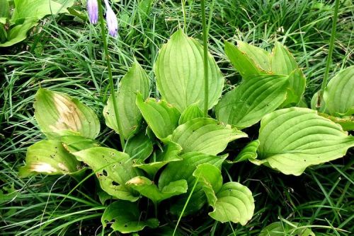 6205345905_d59a564256-160x160