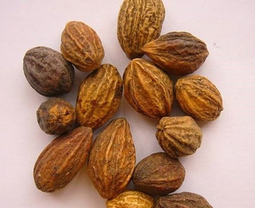 6205345905_d59a564256-160x160