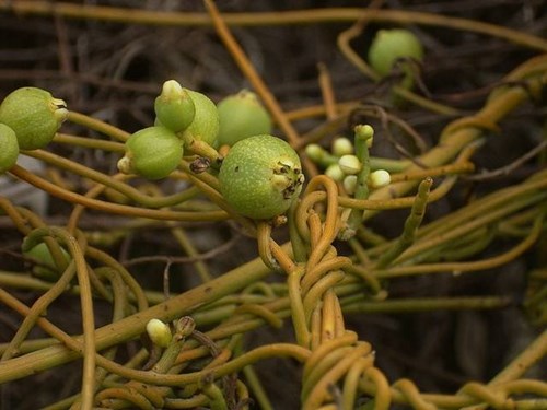 6205345905_d59a564256-160x160