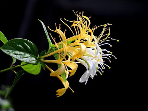 6205345905_d59a564256-160x160