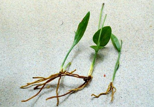 6205345905_d59a564256-160x160